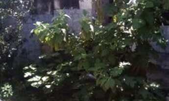 Imagem 2: Casa para venda com 94 metros quadrados com 3 quartos em Centro - Mongaguá - SP