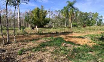 Imagem 4: Chacrinha - Pego seu carro ou moto no brick