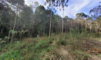 Imagem 2: Belo terreno em Campo Alegre
