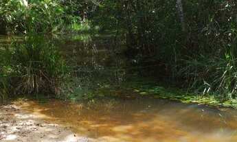 Imagem 6: Fazenda Fazenda / sítio com venda por R$1.200.000
