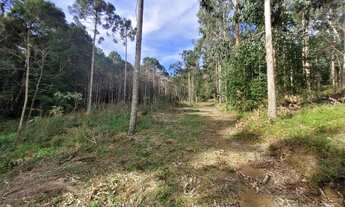 Imagem 3: Belo terreno em Campo Alegre