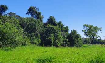 Imagem 4: Terrenos Perto do Rio a 20min de Divinópolis 24.915 + Parcelas