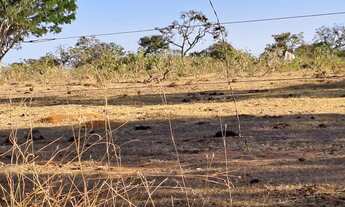 Imagem 3: Fazenda Município Pires do Rio - GO