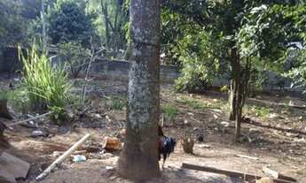 Imagem 4: Venda de sítio em Extrema