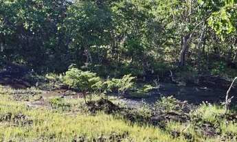 Imagem 6: Chácara 4000m², muito arborizada, Energia, Local Agradavel, Entre Guapo/Aragoiânia