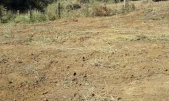 Imagem 7: Terrenos à venda, 15 de frente por 80 de fundo, bairro cercado em Araçoiaba da serra
