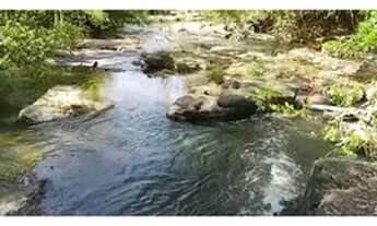 Imagem 4: Fazenda 45 Alq Aragoiania Bruta rica em Água