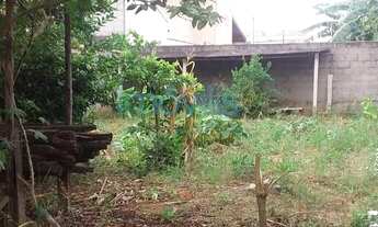 Imagem 3: Terreno à venda - 250 m² - Novo Horizonte - Taubaté/SP