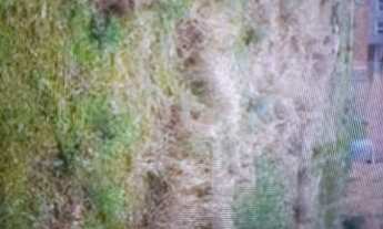 Imagem 1: Vendo 2 terrenos juntos