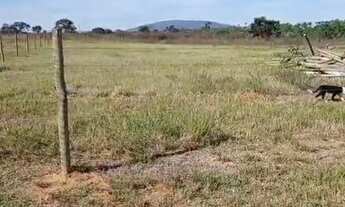 Imagem: Fazenda A Venda em Arinos - Mg - 226 Ha