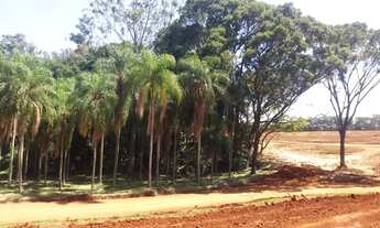 Imagem 4: Vila Romi Residence