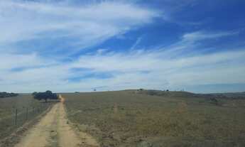 Imagem 6: Fazenda a venda em Campo Alegre - Go - 870 Ha - Jóia Rara!