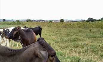 Imagem 2: Terreno(sítio) em Bariri