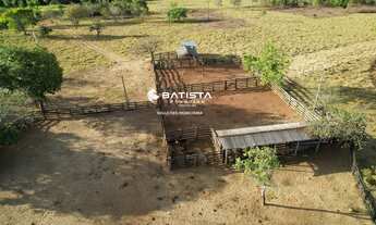 Imagem 5: Fazenda 70 Alqueires, 85 Km de Palmas