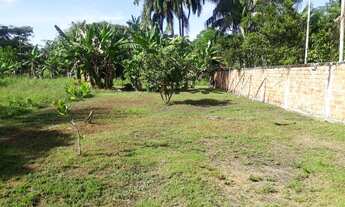 Imagem 2: Vendo um terreno na entrada do cannã