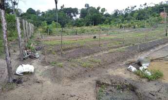 Imagem 3: Terreno medindo 40m por 95m no brasileirinho