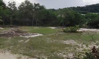 Imagem 4: Chácara 4000m², muito arborizada, Energia, Local Agradavel, Entre Guapo/Aragoiânia