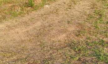 Imagem 2: Pagamento Facilitado já garante o seu