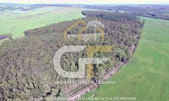 Imagem 5: Vendo Eucalipto Fazenda / sítio com venda por R$10.000