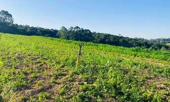 Imagem 4: Terrenos Planos e Limpos Para Sua Casa de Campo em Ibiúna - SP