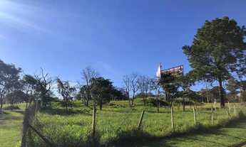 Imagem 6: Terreno - Bairro das Palmeiras - Campinas