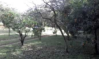 Imagem 4: Terreno para Venda - 2460m², 0 dormitórios, Restinga