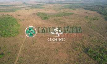 Imagem: FAZENDA PARA ARRENDAMENTO EM ÁGUA BOA