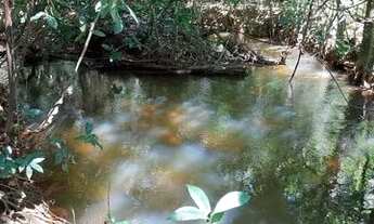 Imagem 3: Chácara próxima ao córrego moia