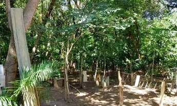 Imagem 6: Chácara próxima ao córrego moia