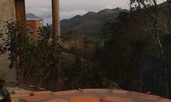 Imagem 7: Casa para Venda em Anitápolis, São Paulo dos Pinhais, 1 dormitório, 1 suíte, 1 banheiro