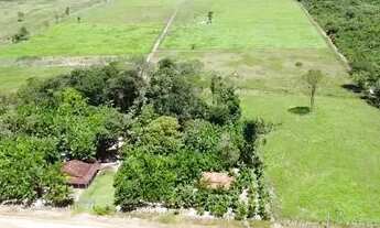 Imagem: 25 Hectares porteira fechada por 600 mil