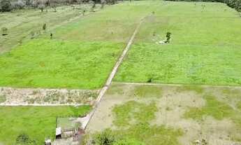 Imagem 4: 25 Hectares porteira fechada por 600 mil reais ha 40 km de Castanhal