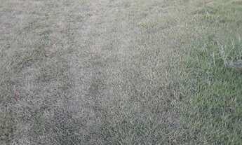 Imagem 6: Excelente casa 2qts 100m2