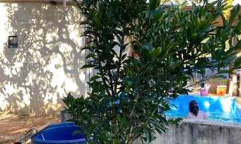 Imagem 5: Chácara 5.000 metros!