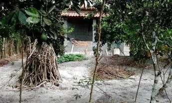 Imagem 4: VENDO MINI SÍTIO 28.000 ACEITO PROPOSTA