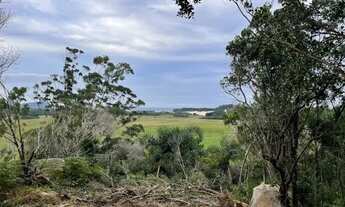 Imagem 7: Lindo terreno na praia da Gamboinha em Paulo Lopes, a 400mts da Praia da Gamboa