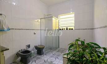 Imagem 4: São Paulo - Casa Padrão - Ipiranga