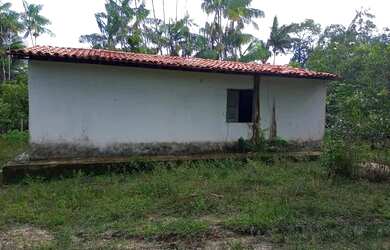 Imagem 6: Terra com 100 Hectares - Pedro do Rosário - MA