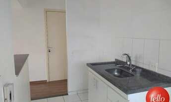 Imagem 4: São Paulo - Apartamento Padrão - Mandaqui