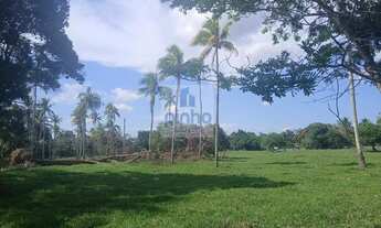 Imagem: Fazenda para Venda em Amélia Rodrigues