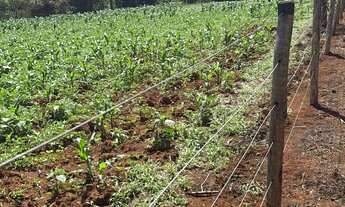 Imagem 2: Chácara região metropolitana Goiania bonfinópolis 60 mil