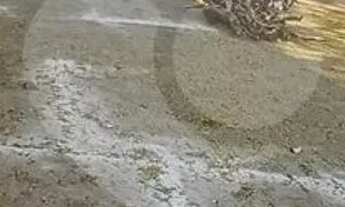 Imagem 2: Prédio inteiro para locação em Vila Paulista - SP