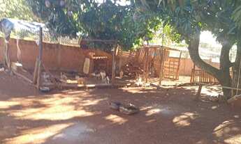 Imagem 6: Vendo ou troco chácara em planaltinaGoiás