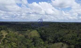 Imagem 4: Fazenda, Centro, Esplanada - R$ 300 mil, Cod: 68666