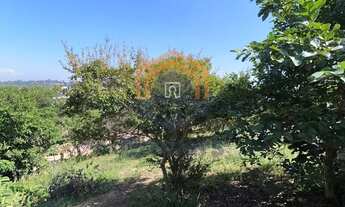 Imagem 4: Chácara 3.000m² em Jardim Morada Alta - Jarinu