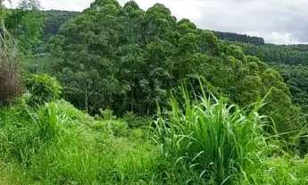 Imagem 2: Área de terra bairro Scheiblin, Linha Nova.RS Ref.:157