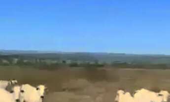 Imagem: Fazenda de 415 alqueires em TTorixoreu MT