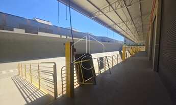 Imagem 3: Comercial GalpãoBarracão em Marília