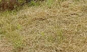 Imagem 4: Lote 1500 m Terreno / lote com venda por R$45.000