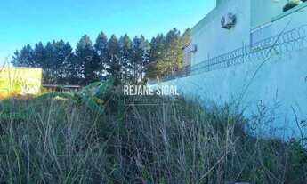 Imagem: Terreno no Sítio Floresta